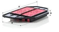Air Filter (C 3347)