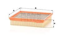 Air Filter (C 22 029)