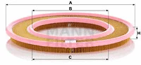 Air Filter (C 3555)