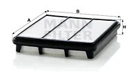 Air Filter (C 2743)