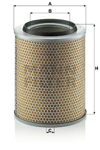 Air Filter (C 24 393)