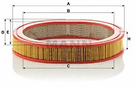 Air Filter (C 2942)