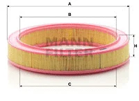 Air Filter (C 2953/1)