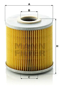 Oil Filter (H 1029/1 n)