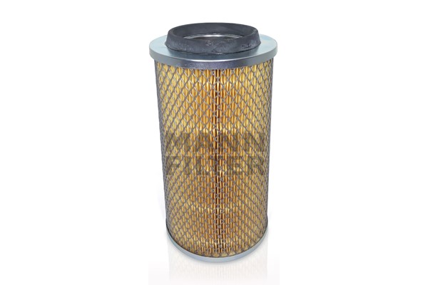 Air Filter (C 18 009/1 x)