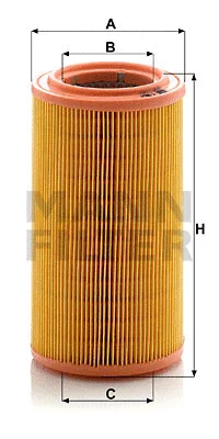 Air Filter (C 1286/1)