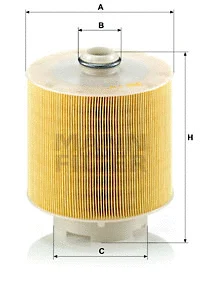 Air Filter (C 17 137/1 x)