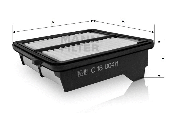 Air Filter (C 18 004/1)