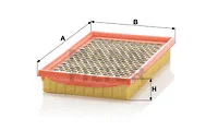 Air Filter (C 2552/2)