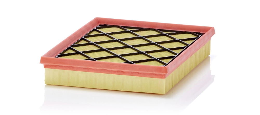 Air Filter (C 27 031)