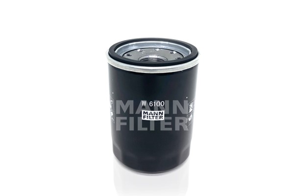 Oil Filter (W 6100)