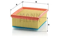 Air Filter (C 21 116/1)