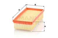 Air Filter (C 24 120)