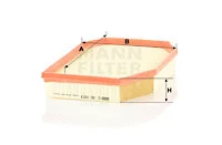 Air Filter (C 30 003)