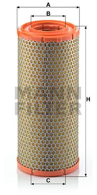 Air Filter (C 16 247/1)
