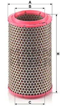 Air Filter (C 1589/2)