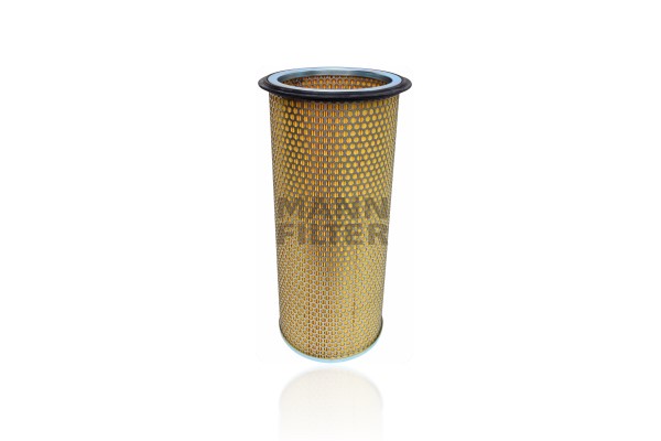 Secondary Air Filter (C 19 171)
