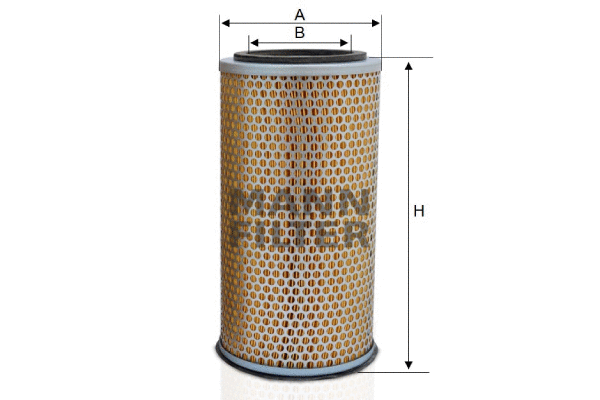 Air Filter (C 17 262)