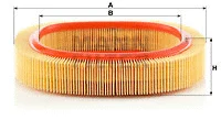 Air Filter (C 2440)