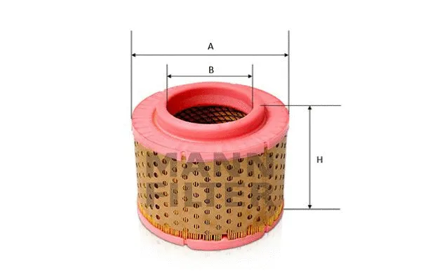 Air Filter (C 23 107/1)