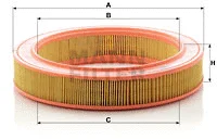 Air Filter (C 2846)