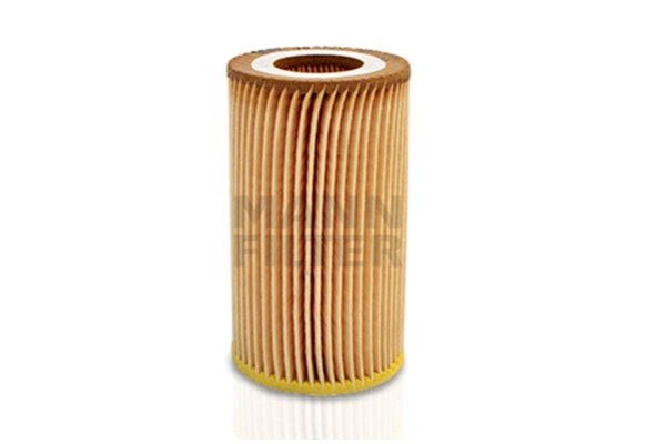Oil Filter (HU 718/1 x)