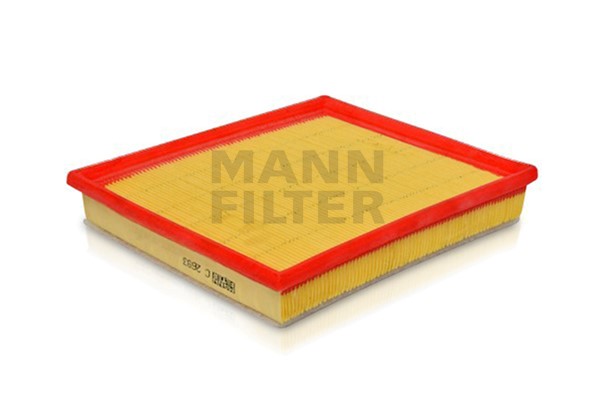 Air Filter (C 2693)