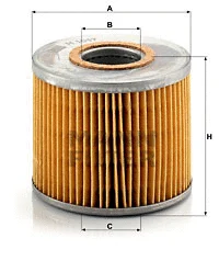 Oil Filter (H 1017 n)