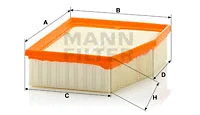 Air Filter (C 23 124)