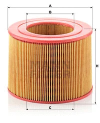 Air Filter (C 20 189)