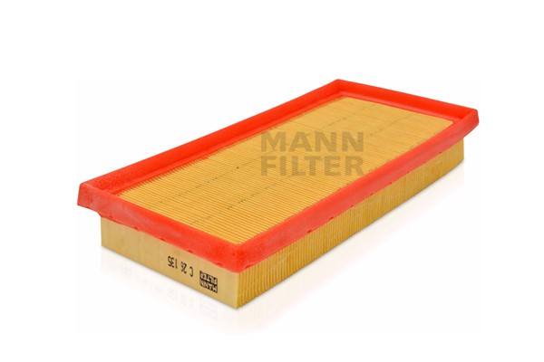 Air Filter (C 26 135)