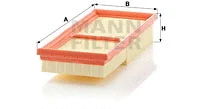 Air Filter (C 2861-2)