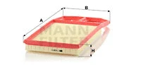 Air Filter (C 4287/1)
