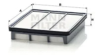 Air Filter (C 2542)