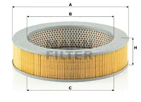 Air Filter (C 2868)