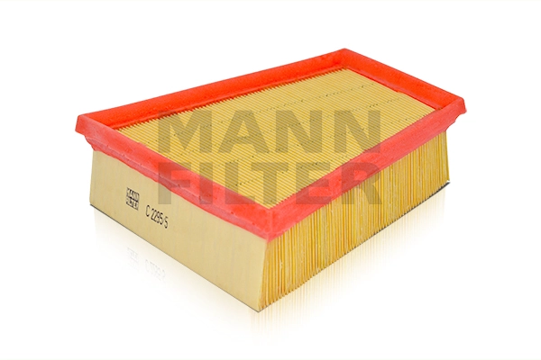 Air Filter (C 2295/5)