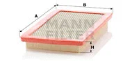 Air Filter (C 3177)