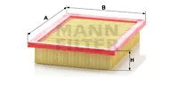 Air Filter (C 2496)