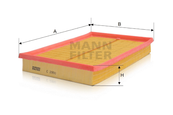 Air Filter (C 2990)