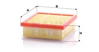 Air Filter (C 21 002)