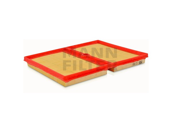 Air Filter (C 22 035/1)