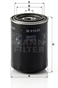 Oil Filter (W 818/81)