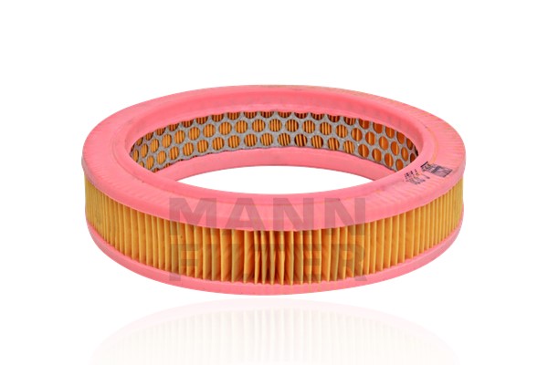Air Filter (C 2120)