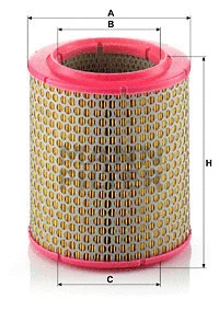Air Filter (C 17 129)