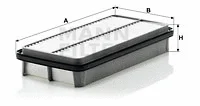 Air Filter (C 3136)