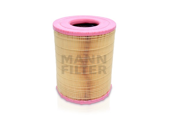 Air Filter (C 28 1012)