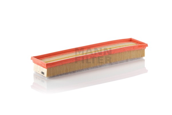 Air Filter (C 4292/2)