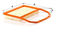 Air Filter (C 29 015)