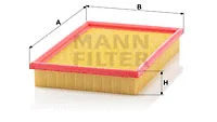 Air Filter (C 2991)