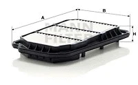 Air Filter (C 2931)